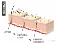 网站seo优化关键词中的误区