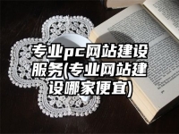 专业pc网站建设服务(专业网站建设哪家便宜)