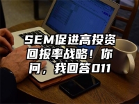 SEM促进高投资回报率战略！你问，我回答011