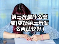 第三方是什么意思(委托第三方怎么弄比较好）