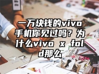 一万块钱的vivo手机你见过吗？为什么vivo x fold那么