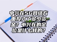 中兴在5G网络方面投入了多少资金？中兴在的定位是什么样的？