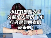 小红书创始人毛文超个人简历（小红书是如何发展秋来的）