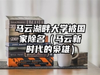 马云湖畔大学被国家除名（马云新时代的枭雄）