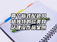 两个版式配色风格独特的欧美网站建设作品案例