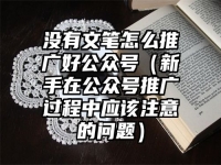 没有文笔怎么推广好公众号（新手在公众号推广过程中应该注意的问题）