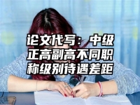 论文代写：中级正高副高不同职称级别待遇差距