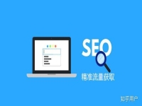 专业seo关键词优化
