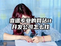 靠谱专业的网站it开发公司怎么找