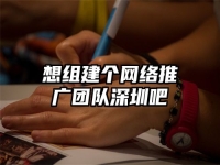 想组建个网络推广团队深圳吧