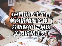 12月份下半个月羊肉价格怎么样（分析整个12月份羊肉价格走势）