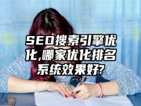 SEO搜索引擎优化,哪家优化排名系统效果好?