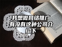 我想做网络推广有没有这种公司介绍下