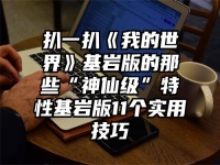 扒一扒《我的世界》基岩版的那些“神仙级”特性基岩版11个实用技巧