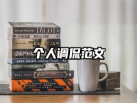 个人调侃范文