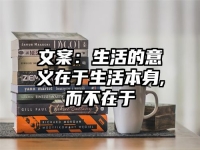 文案：生活的意义在于生活本身,而不在于