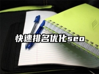 快速排名优化seo