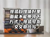 搜狐自媒体好里面能不能带领下方式？搜狐号发文文章代写