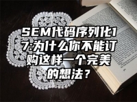 SEM代码序列化17:为什么你不能订购这样一个完美的想法？