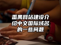 番禺网站建设介绍中文国际域名的一些问题