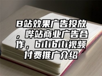 B站效果广告投放，哔站商业广告合作，bilibili视频付费推广介绍