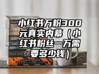 小红书万粉300元真实内幕（小红书粉丝一万需要多少钱）