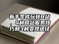 新手零成玩转B站，4种网站服务技巧和3种变现途径