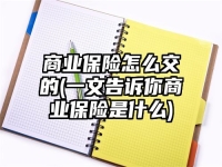 商业保险怎么交的(一文告诉你商业保险是什么)