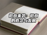 微商来袭：微商的概念与发展