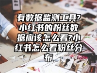 有数据监测工具?小红书的粉丝数据应该怎么看?小红书怎么看粉丝分布