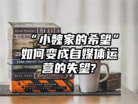 “小魏家的希望”如何变成自媒体运营的失望?