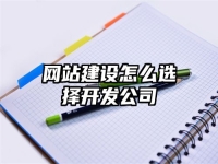 网站建设怎么选择开发公司