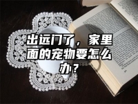 出远门了，家里面的宠物要怎么办？