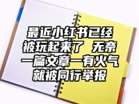 最近小红书已经被玩起来了 无奈一篇文章一有火气就被同行举报