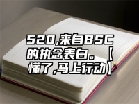 520,来自BSC的执念表白。【懂了,马上行动】