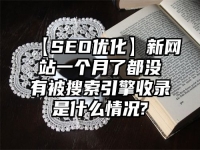 【SEO优化】新网站一个月了都没有被搜索引擎收录是什么情况?