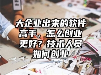 大企业出来的软件高手，怎么创业更好？技术人员如何创业