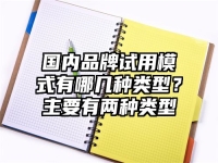 国内品牌试用模式有哪几种类型？主要有两种类型