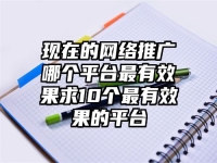 现在的网络推广哪个平台最有效果求10个最有效果的平台