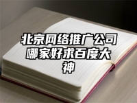 北京网络推广公司哪家好求百度大神