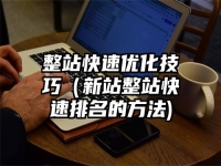 整站快速优化技巧（新站整站快速排名的方法)