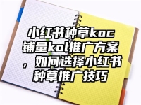 小红书种草koc铺量kol推广方案，如何选择小红书种草推广技巧