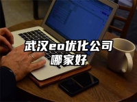 武汉eo优化公司哪家好