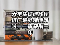 大学生球迷代理推广境外赌博网站，二审获刑三年