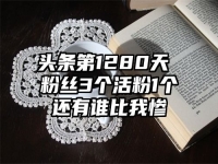 头条第1280天 粉丝3个活粉1个还有谁比我惨