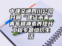 中建交通四川公司开展“建证未来”青年精神素养提升工程专题组织生活