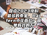 盘点2023涨粉最多的泰星，Baifern小花首位！简单有效的万