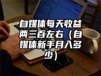 自媒体每天收益两三百左右（自媒体新手月入多少）