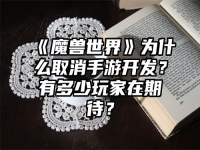 《魔兽世界》为什么取消手游开发？有多少玩家在期待？