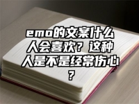 emo的文案什么人会喜欢？这种人是不是经常伤心？